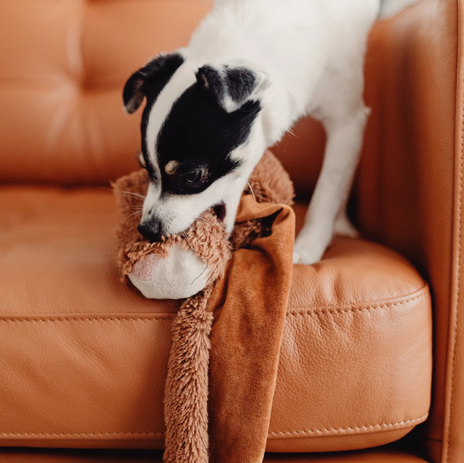 Möbelleder Risse flicken: So geht's