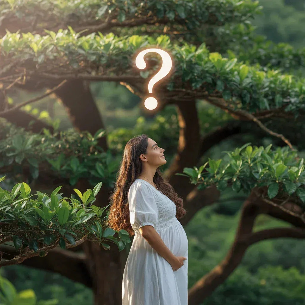 Teebaumöl in der Schwangerschaft: Anwendung, Sicherheit & Alternativen