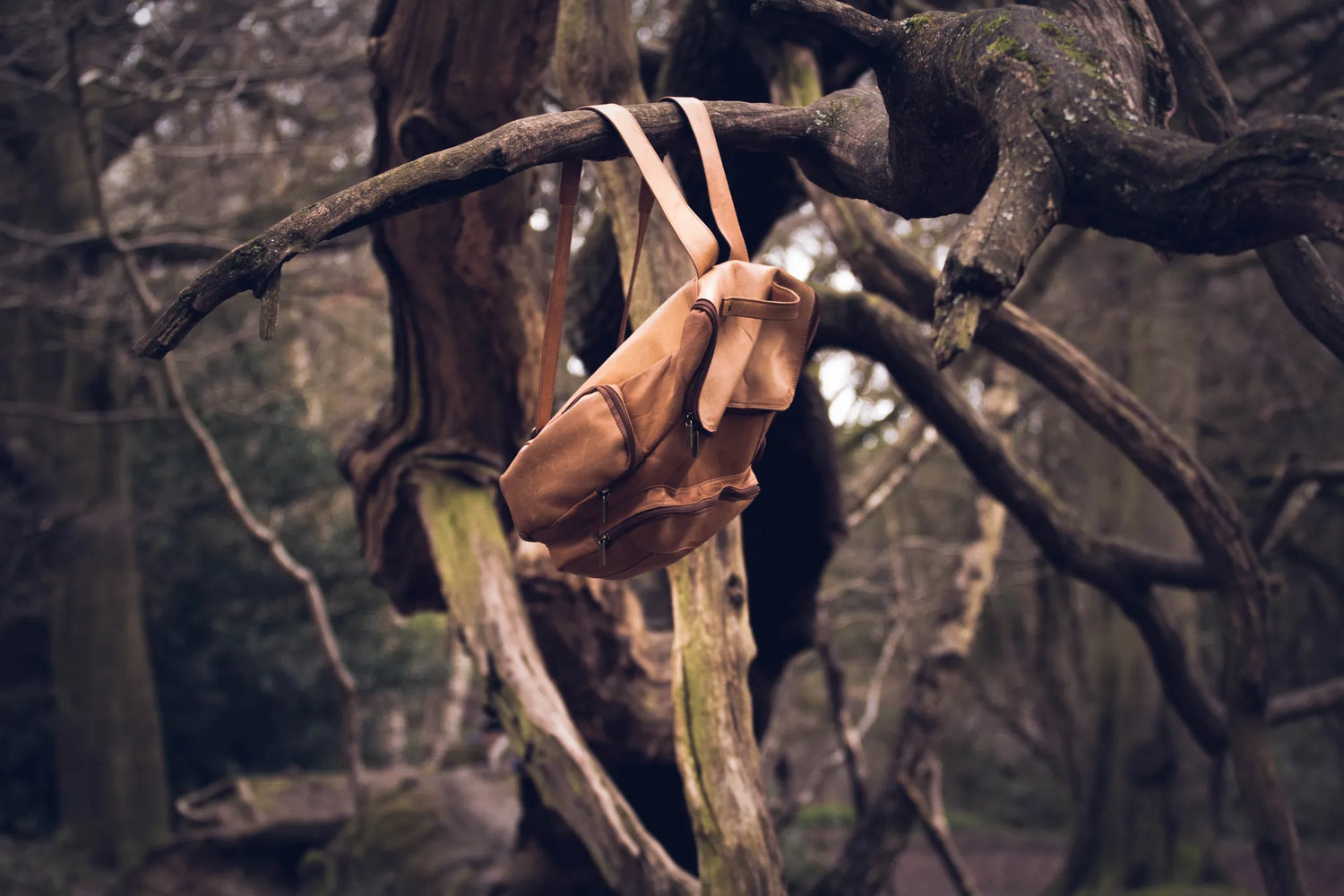 Brauner Rucksack, der im Wald an einem Baumstamm hängt
