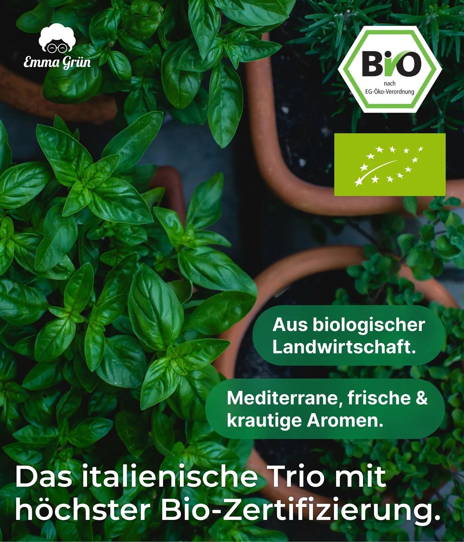 Urlaub in Italien Set mit Thymian-, Oregano- & Rosmarinöl Emma Grün
