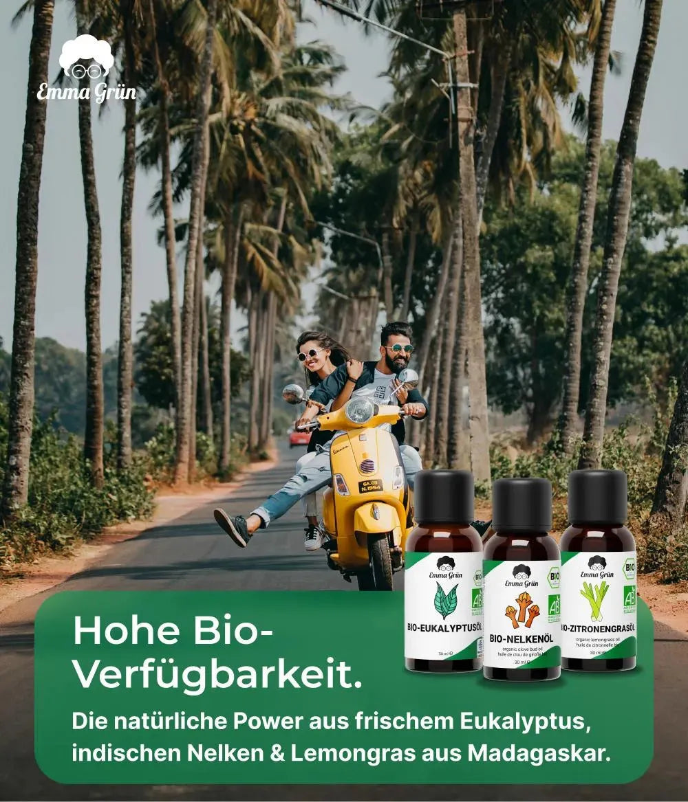 shopify_source_url:https://cdn.shopify.com/s/files/1/0561/5851/9431/files/image_1920_07e180a8-fa0d-4004-bd2d-ba289cc25b75.jpg?v=1774272884