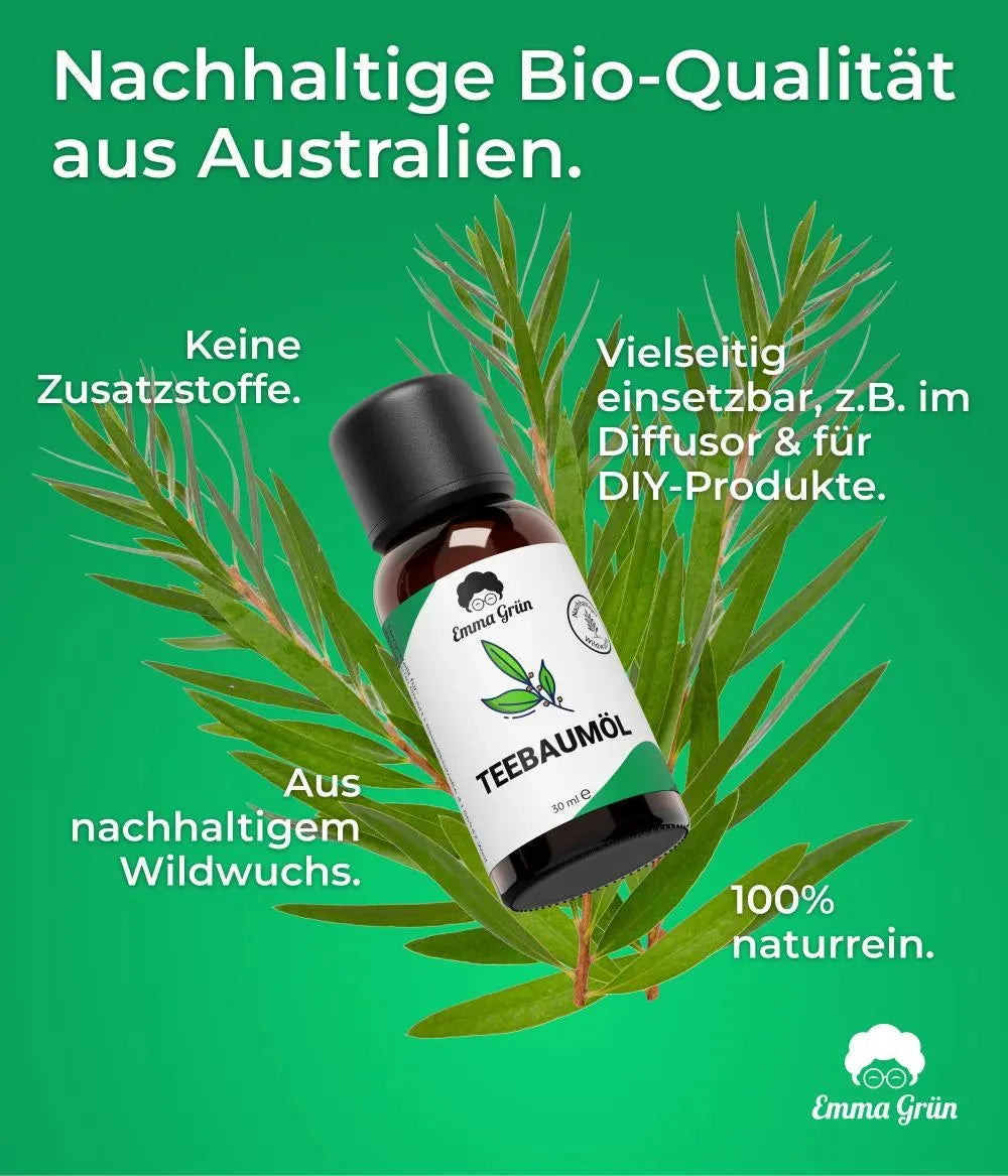 shopify_source_url:https://cdn.shopify.com/s/files/1/0561/5851/9431/files/image_1920_278aaf6d-a99b-48d1-94a2-22e576c6c1ef.jpg?v=1774272893