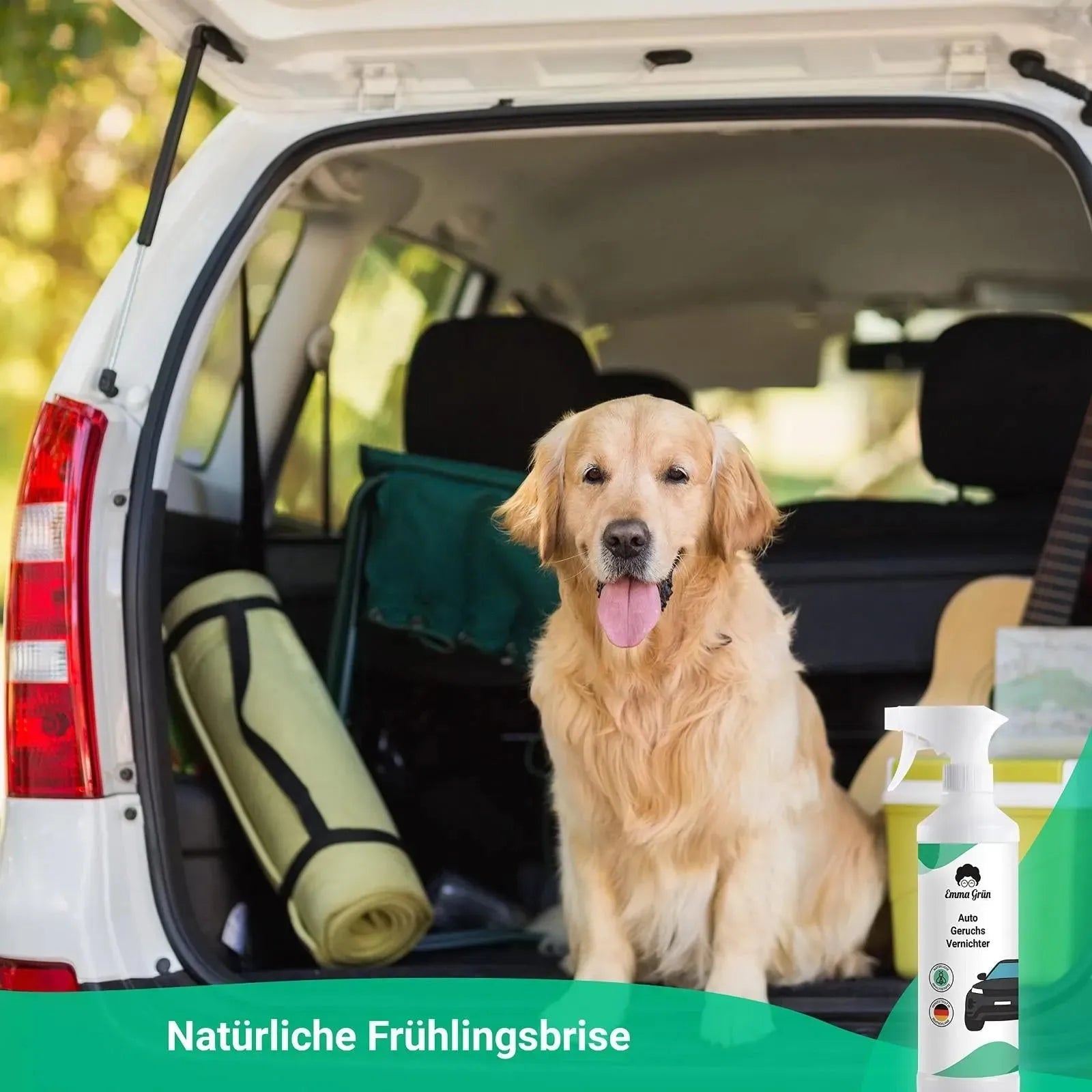 Geruchsneutralisierer Auto (500 ml) Emma Grün