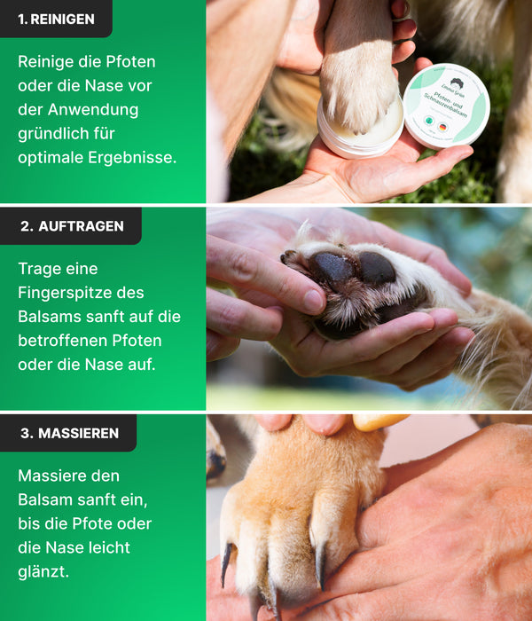 Nase & Pfotenschutz 100ml, Natürliche Pfotenpflege für Hunde & Katzen, mit Propolis & Bienenwachs