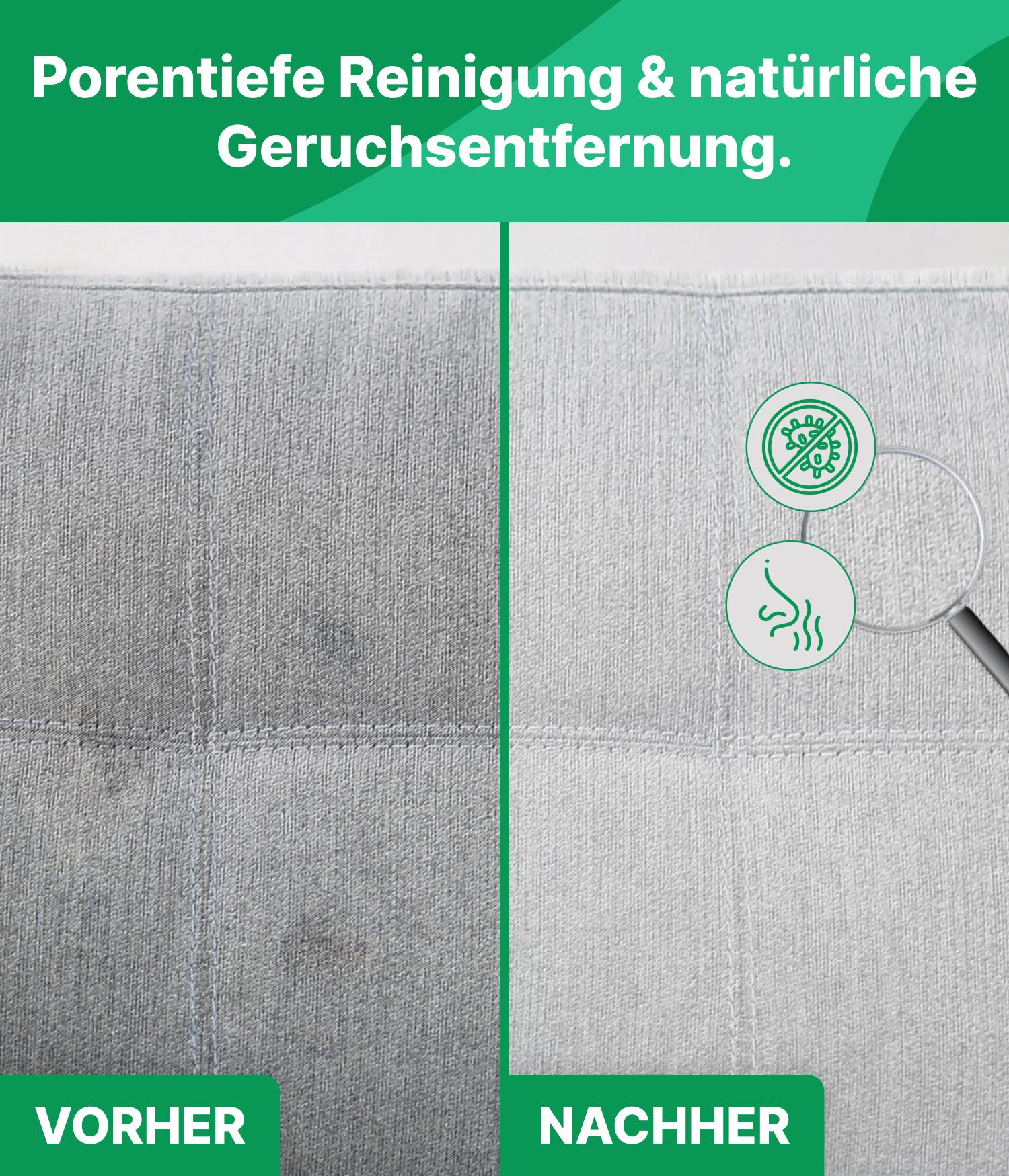 Polster reinigen Sparset mit Reiniger & Lavendelspray Emma Grün