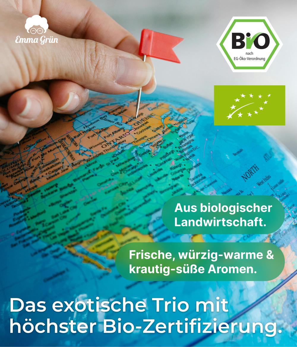 Um die Welt Set mit Eukalyptus-, Zitronengras- & Nelkenöl Emma Grün