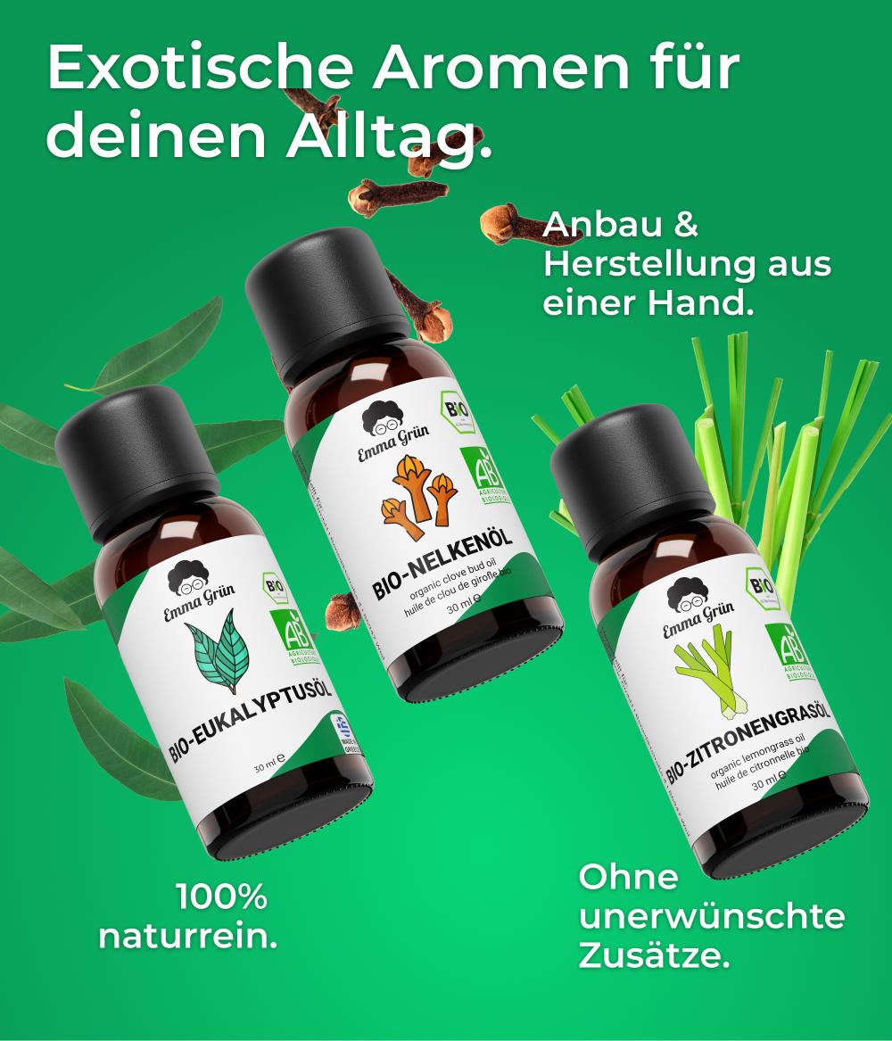 Um die Welt Set mit Eukalyptus-, Zitronengras- & Nelkenöl Emma Grün