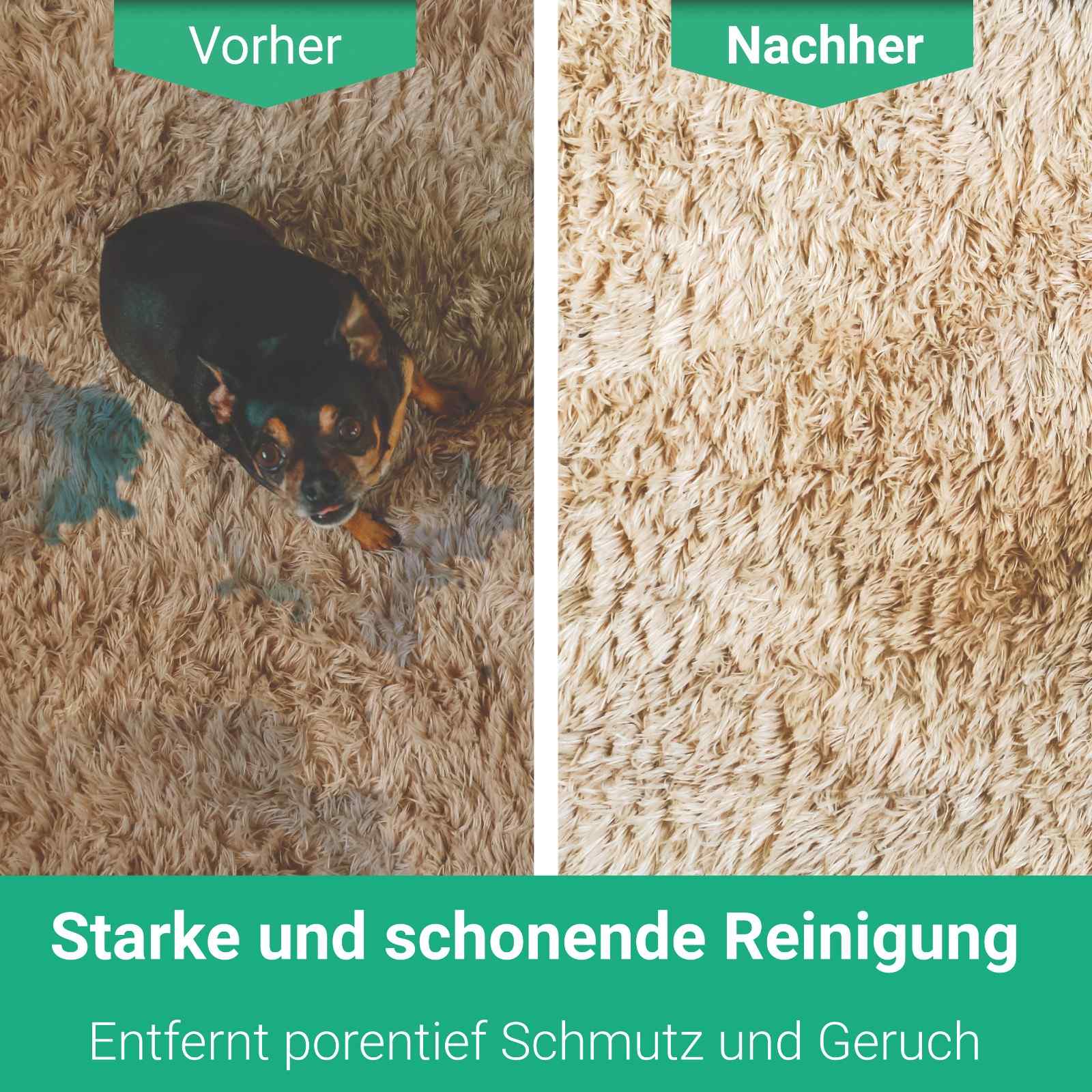 shopify_source_url:https://cdn.shopify.com/s/files/1/0561/5851/9431/files/TeppichReinigerPremium-VorherNachher_c4f5452c-3818-4fde-8ef4-257e64e4f0f5.jpg?v=1756907543